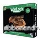 WarLock Tiles: Town & Village III – Curves WarLock Tiles: Town & Village III – Curves
