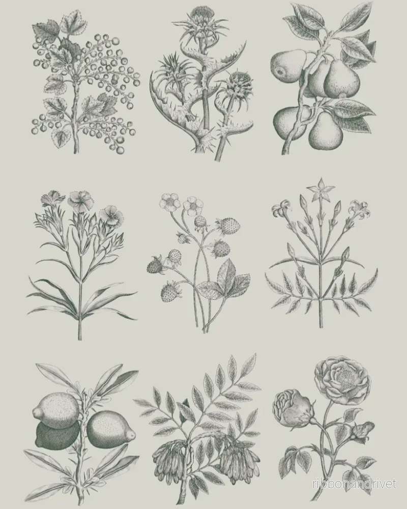 Botaniska stiliserade växter från RHS Decoupage Paper - Bild 2