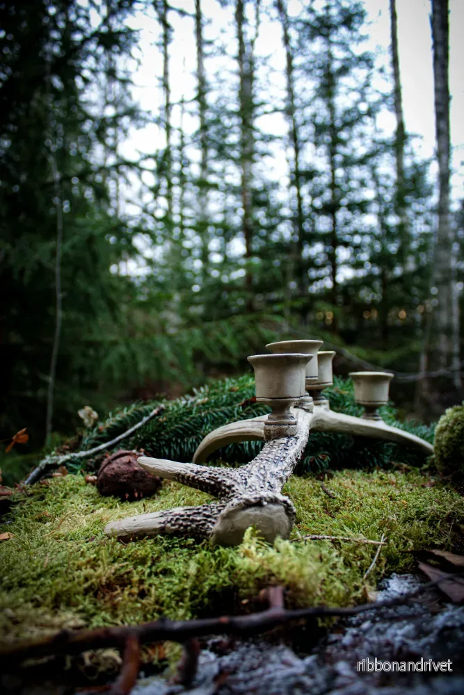 Renhornsljusstake med 4 ljushållare - Bild 3