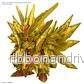 SDW Heroes Superior Strike F Dragon - Actionfigur - Bild 3