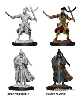 D&D Nolzur’s Marvelous Miniatures: Manlig Elv Paladin