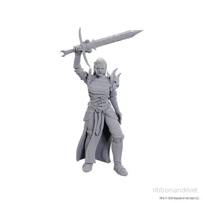 D&D Nolzur's Marvelous Miniatures: Blackguard