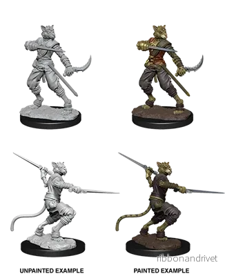 D&D Nolzur’s Marvelous Miniatures: Manlig Tabaxi Rogue