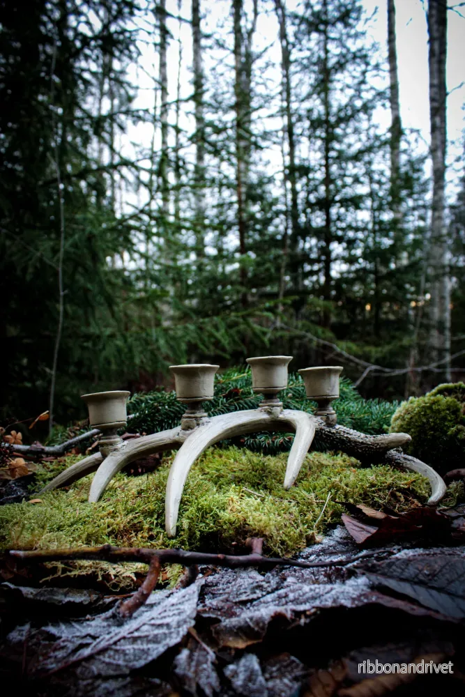Renhornsljusstake med 4 ljushållare Renhornsljusstake med 4 ljushållare