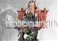 Conquest - Dweghom: Ironclad Drake - EN - Bild 2