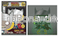 Funko POP Pin: Marvel - Zombie Thor - Bild 3