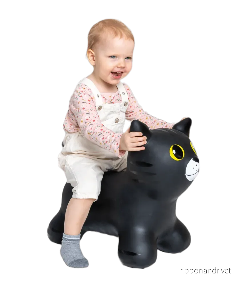 Hoppdjur "My First JUMPY" – Svart katt - Bild 2