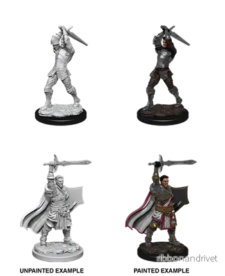 D&D Nolzur's Marvelous Miniatures: Male Human Paladin