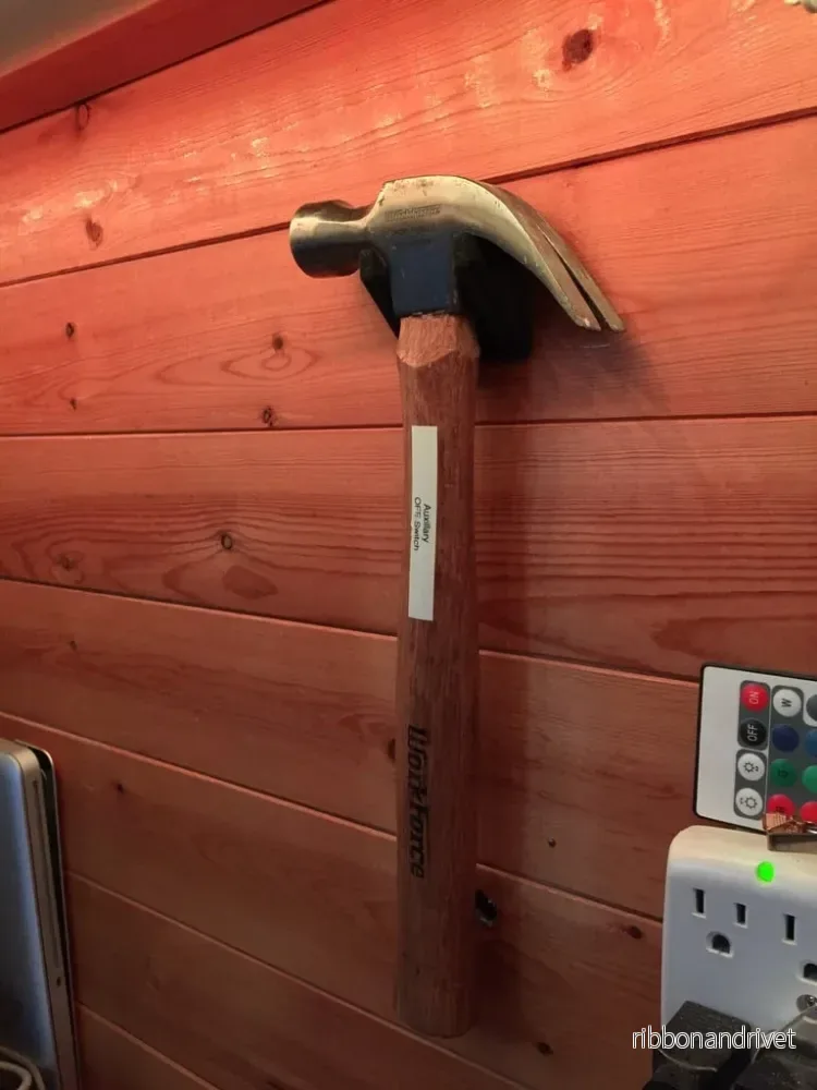 Vägghängd hammarhängare Vägghängd hammarhängare
