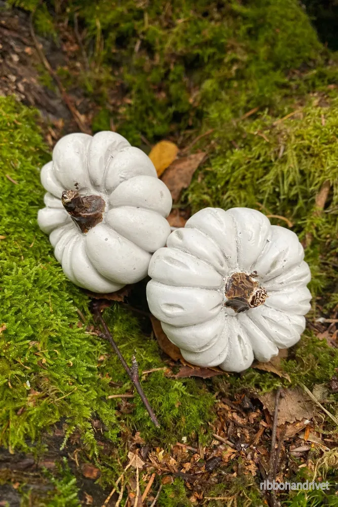 Pumpa på stick
