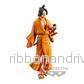 One Piece - Magazin A Piece of Dream - Ace Vol.1 - Bild 2