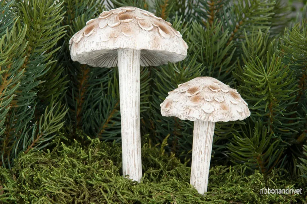 Svamp, natur 2 storlekar - Bild 2