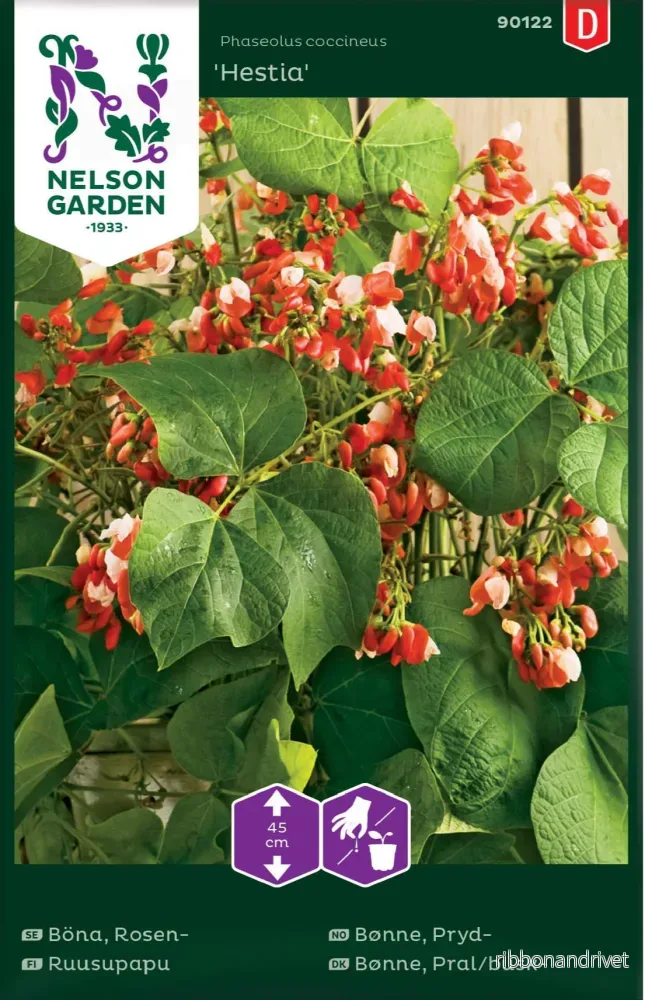Blomsterböna Hestia Blomsterböna Hestia