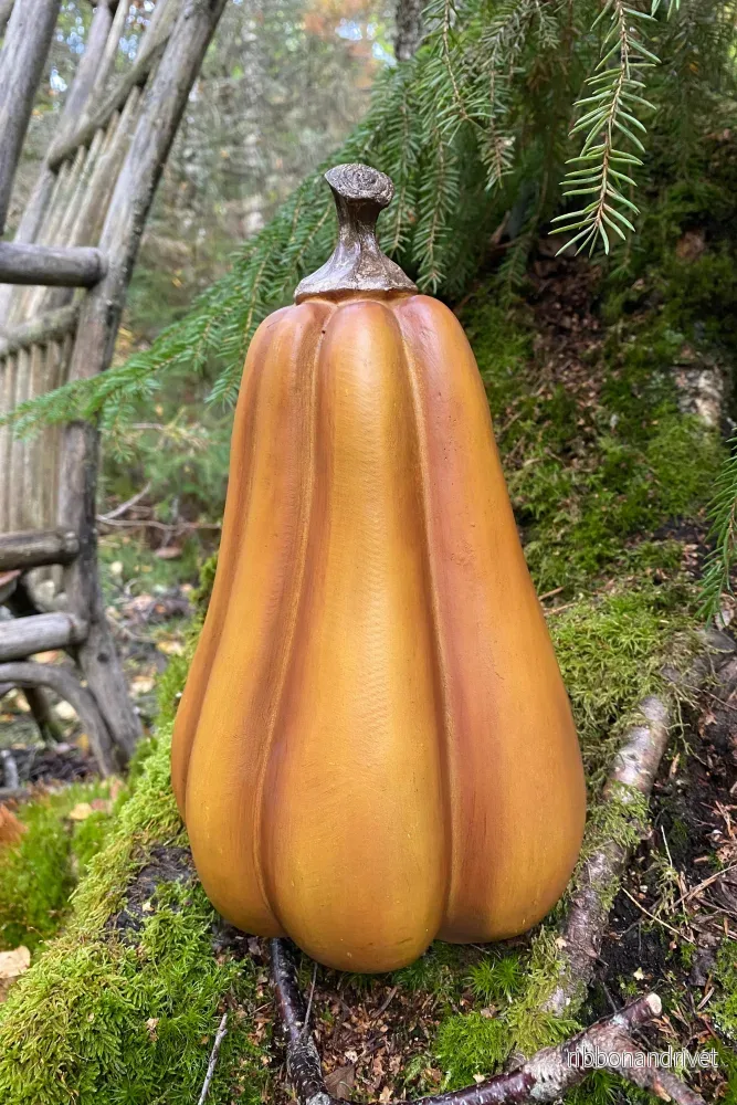 Avlång orange pumpa