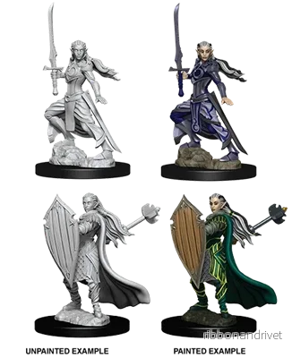 D&D Nolzur’s Marvelous Miniatures: Female Elf Paladin D&D Nolzur’s Marvelous Miniatures: Female Elf Paladin