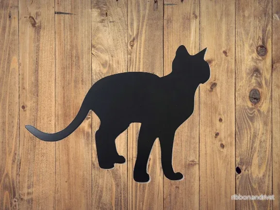 Motiv - Katten