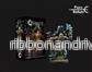 Conquest - Dweghom: Ardent Kerawegh - EN - Bild 3