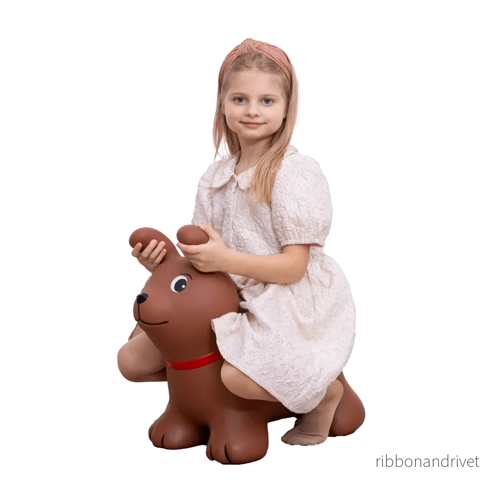 Hoppdjur "My First JUMPY" – Brun hund - Bild 2