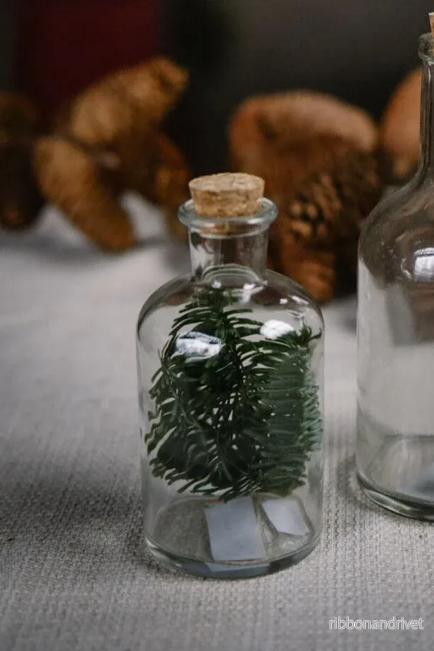 Glasflaska med kork Glasflaska med kork