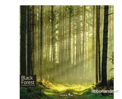 Black Forest – Naturlig och Hållbar Skogsinspiration Black Forest – Naturlig och Hållbar Skogsinspiration