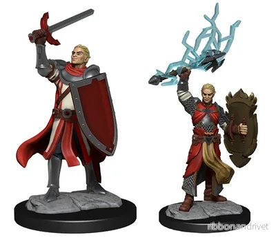 D&D Nolzur's Marvelous Miniatures: Half-Elf Paladin Male - Bild 2