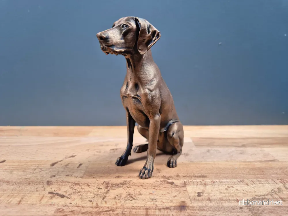 Korthårig Vorsteh - Hundfigur - Bild 2