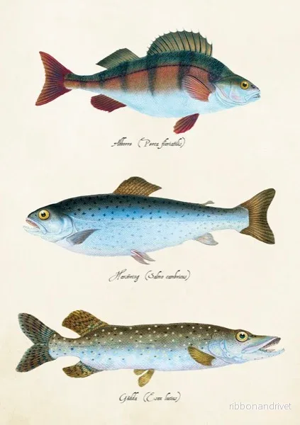 Dubbelt kort med kuvert - fiskmotiv - Bild 2