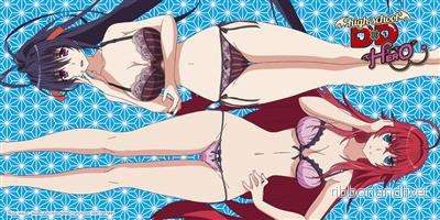 Highschool DXD Hero Strandhandduk – Rias och Akeno 160x80cm Highschool DXD Hero Strandhandduk – Rias och Akeno 160x80cm