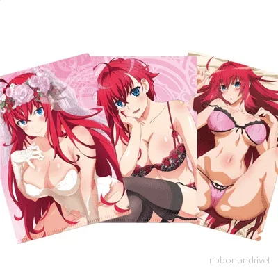 Highschool DxD Clearfile Set A4