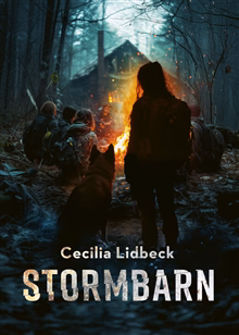 Stormbarn Stormbarn