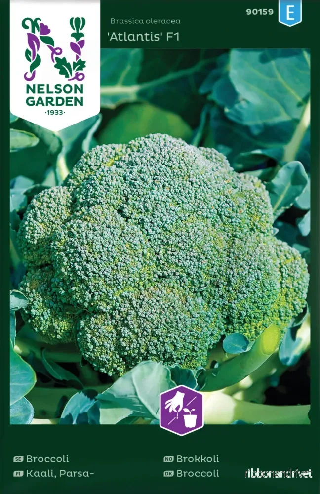 Broccoli Atlantis F1