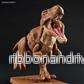 Tyrannosaurus Dinosaur Plastmodell Byggsats - Bild 3