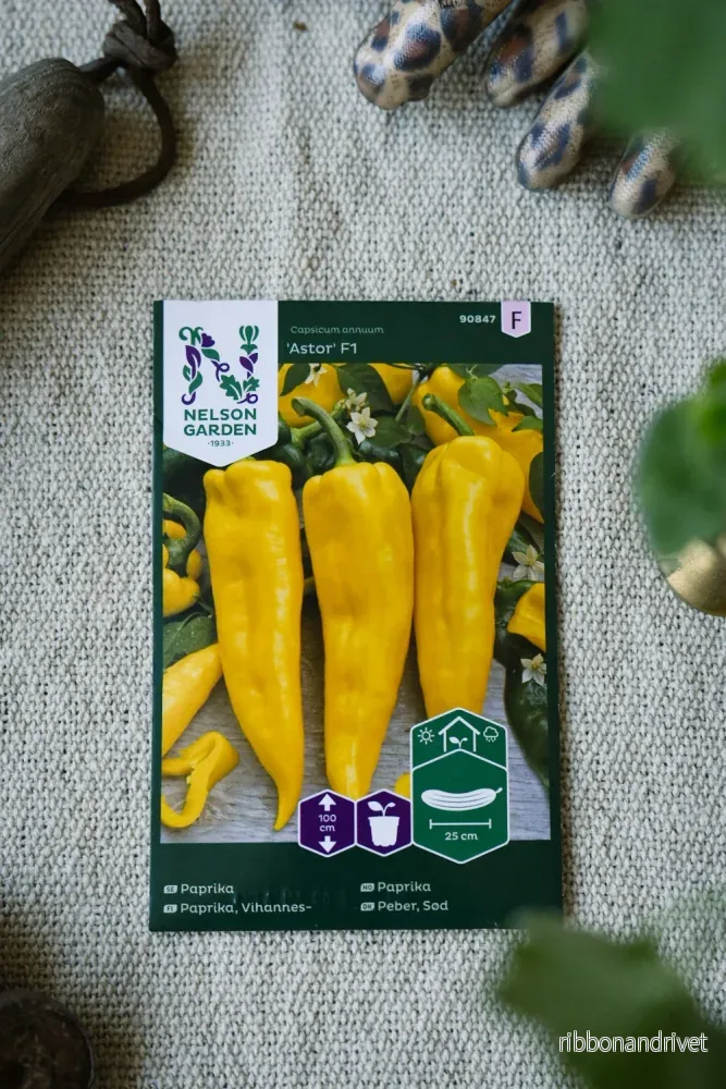 Paprika Astor  – Lång, Söt och Färgstark