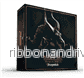Interaktiva Miniatyrer: Dragonlich - Bild 2