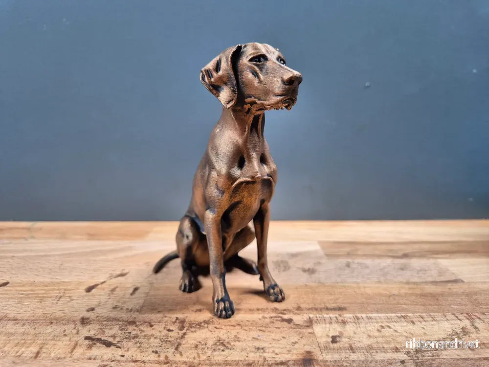 Korthårig Vorsteh – Hundfigur Korthårig Vorsteh – Hundfigur