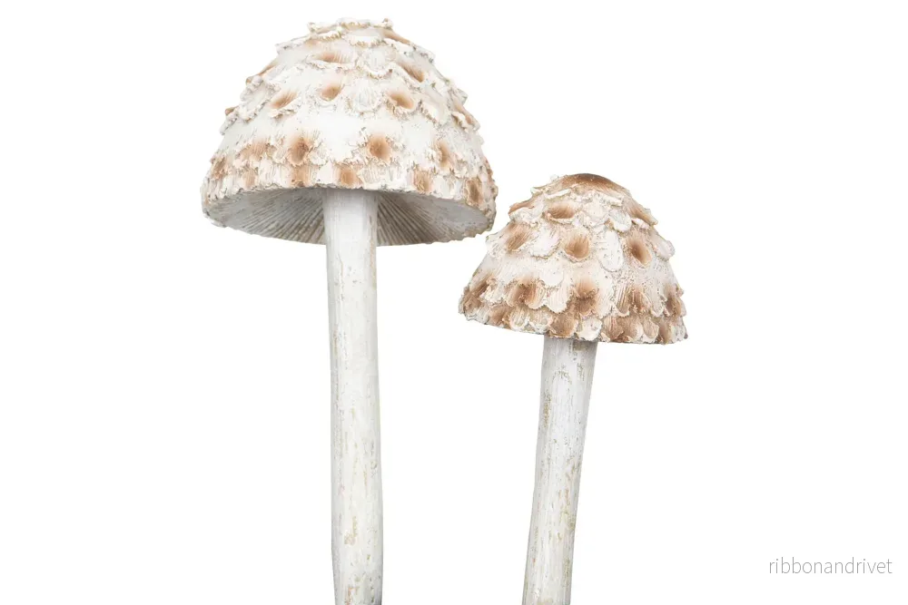 Svamp, natur 2 storlekar Svamp, natur 2 storlekar