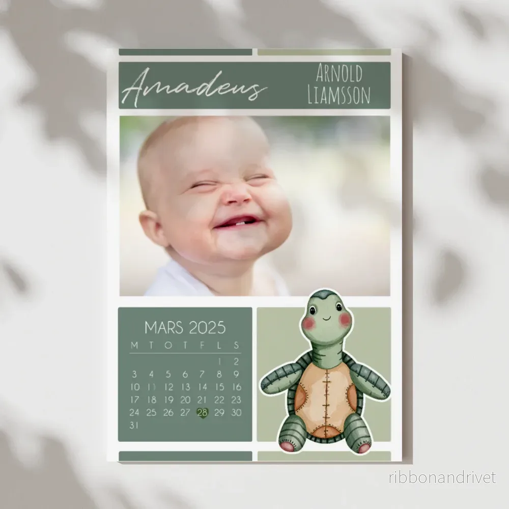 Sköldpadda | Fotoposter & kalender