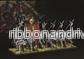 Conquest - Hundred Kingdoms: Household Guards - EN - Bild 2