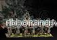 Conquest - W'adrhŭn Slingers - Miniaturer - Bild 2
