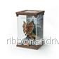 Jurassic Park - Dilophosaurus - Bild 2