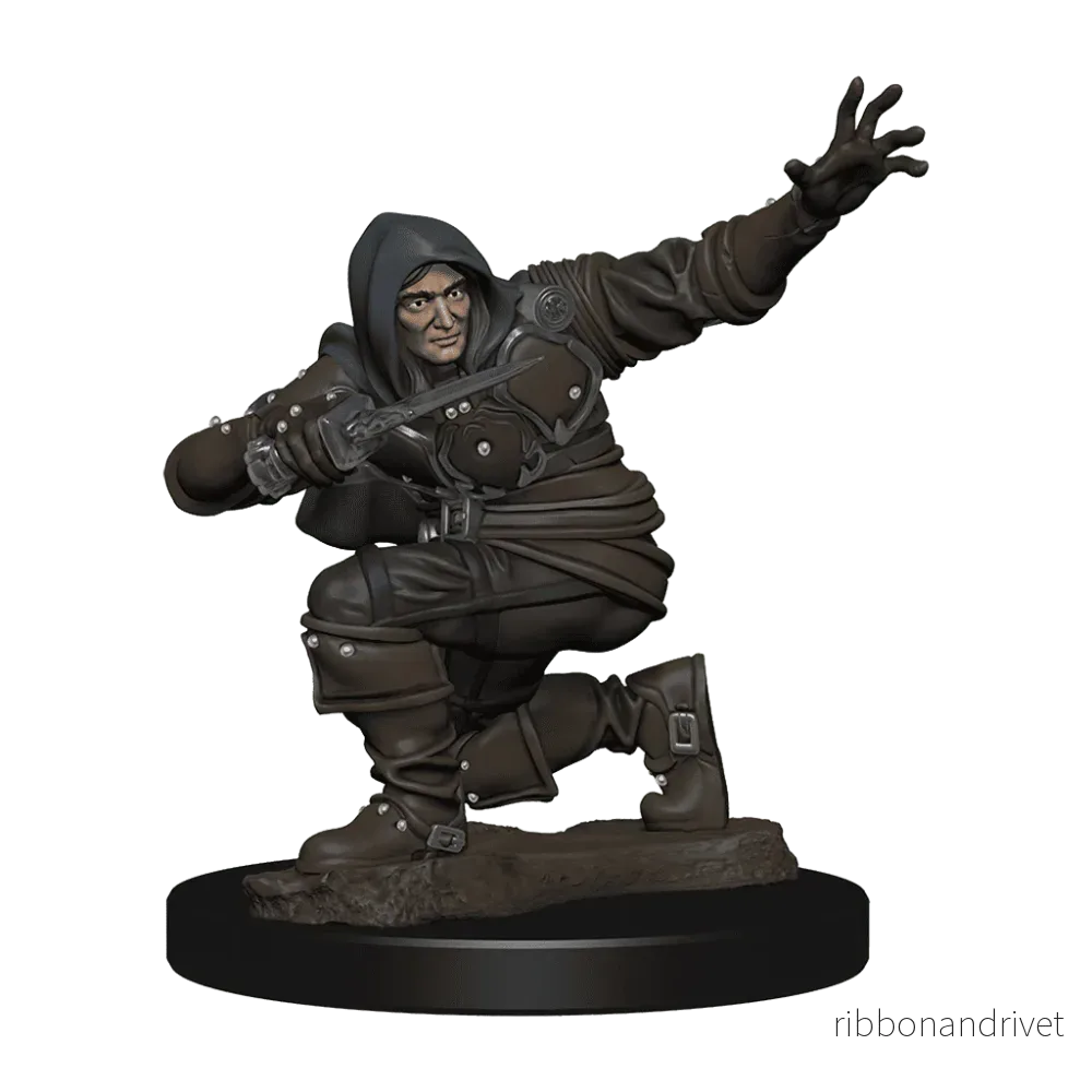 Pathfinder Battles Premium Painted Figur - Manlig Rogue