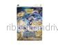 Dragon Shield Standardstorlek Licensfickor - Chronowarp (100 Fickor) - Bild 2