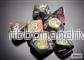 Chessex Festive Mini-Polyhedral Carousel 7-Die Set - Bild 2