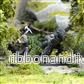 The Elder Scrolls: Call to Arms - Arnbjorn, Dark Brotherhood Predator - Bild 3