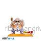 DRAGON BALL - Acryl® - Master Roshi - Bild 2