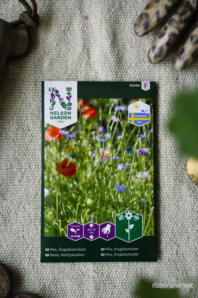 Ängsblommor, mix, ursprung SE Ängsblommor, mix, ursprung SE