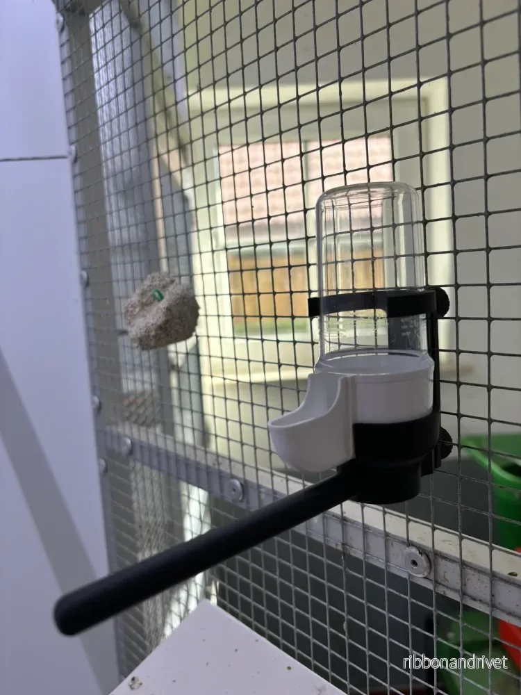 Fågeldrycker Fågelavloppshållare