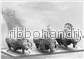 Conquest - Nords: Goltr Beastpack - Bild 2