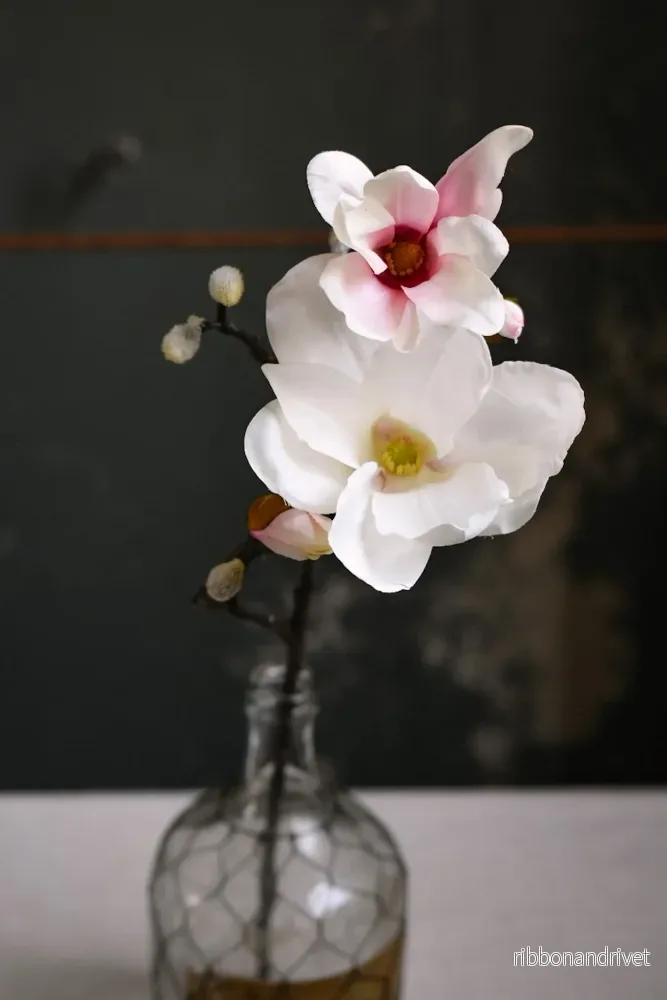Dekorativ magnoliakvist