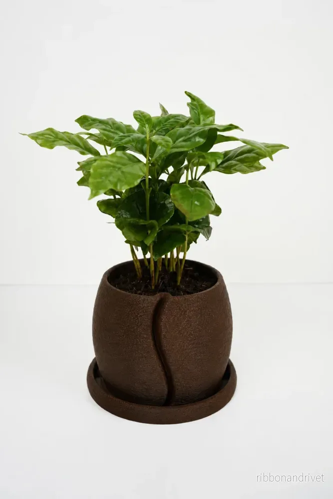 Coffesia Urtepotte - Bild 2